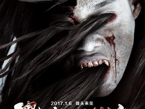 尼尔森理工学院公共管理文凭证书